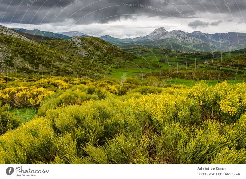 Gebirgstal mit üppig grünen Bäumen Berge u. Gebirge Landschaft Spanien Tal Natur Cloud Baum Palentiner Gebirge Ambitus Berghang Hochland Himmel