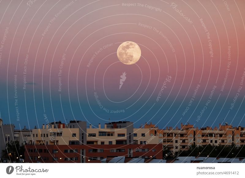 Mond über Gebäuden in einem bunten Sonnenuntergang blau Dämmerung Farbfoto Vollmond Nachthimmel Himmel Außenaufnahme Landschaft rosa Pastelltöne Großstadt