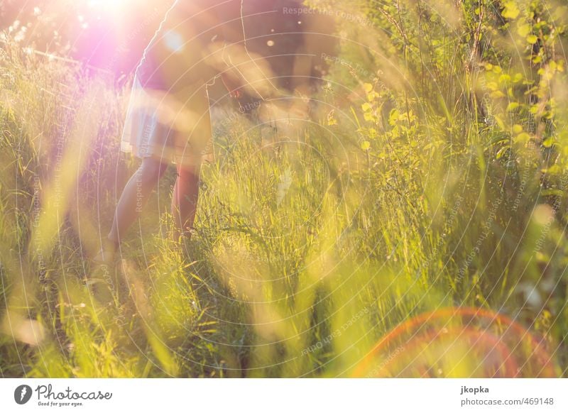 Beauty in Nature Ausflug Sommer Sommerurlaub Sonne feminin Junge Frau Jugendliche Erwachsene 1 Mensch 18-30 Jahre Frühling Schönes Wetter Gras Wiese