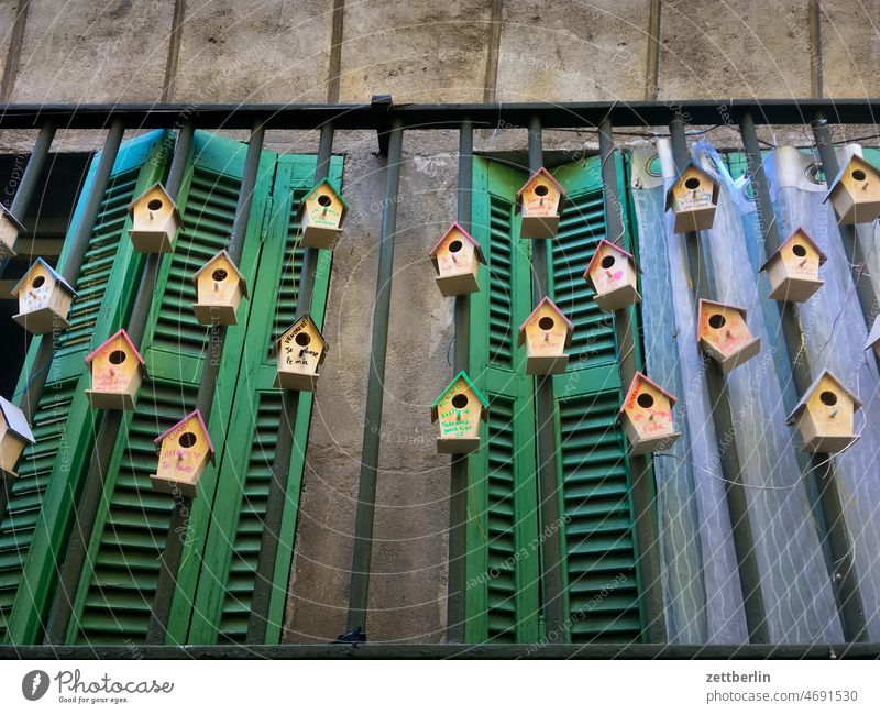 Marseille / Fenster im Panier mit Vogelhäuschen alt altstadt architektur ferien frankreich historisch innenstadt marseille mittelalter mittelmeer provence reise