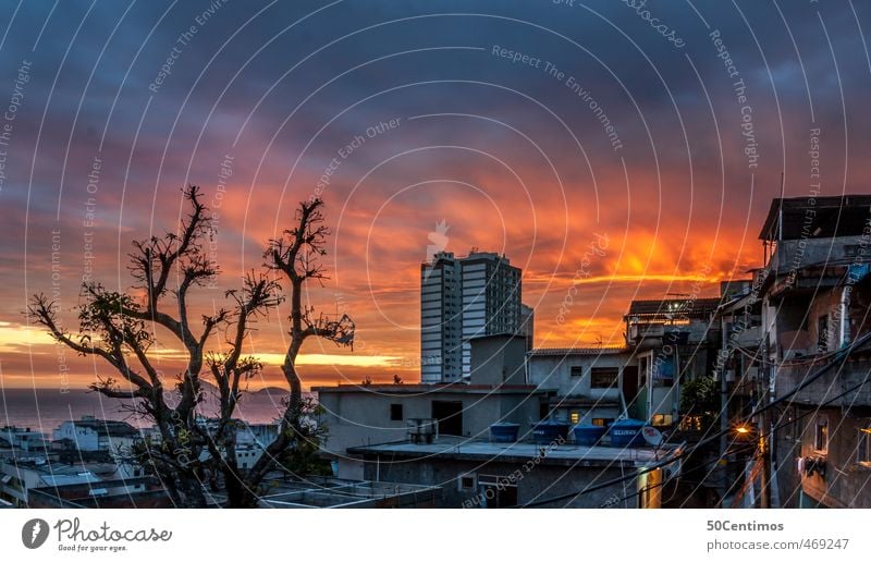 Über den Dächern einer Favela in Rio de Janeiro Ferien & Urlaub & Reisen Tourismus Ausflug Abenteuer Ferne Sommerurlaub Sonnenbad Strand Meer Baum Stadt Skyline