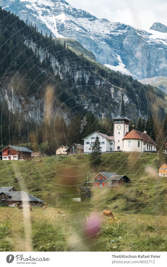 Wiese, Kirche und Berge Weide Berge u. Gebirge Blume Gras Sommer grün Außenaufnahme Wolken Kuh Gebäude Häuser Alpen Alm