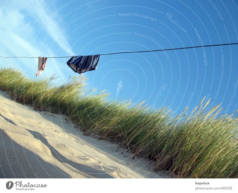 Strandtag Meer Badehose Bikini Schilfrohr grün hängen Wolken Sand Stranddüne Sonne blau Schatten Seil Schönes Wetter Himmel