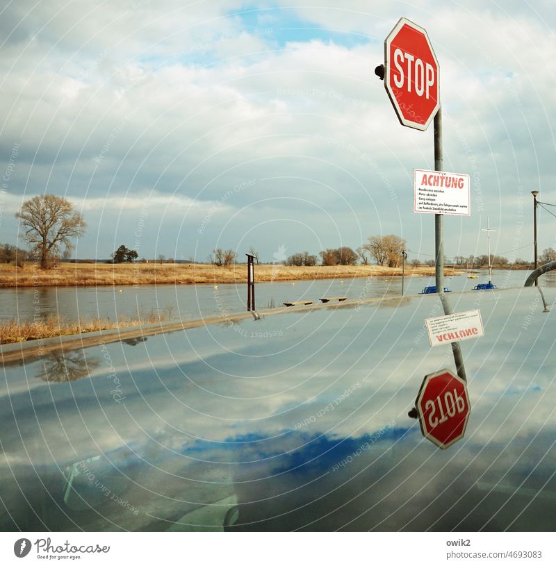 Warten auf die Fähre Wasser Fluss Elbe Elbwiesen Wasseroberfläche Spiegelbild Ferne Horizont Ufer Idylle Farbfoto Menschenleer ruhig Außenaufnahme Natur