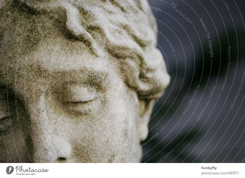 Sleeping Angel Statue Nahaufnahme Angelrute cemetery grave tomb close up remembrance spiritual memorial sculpture high mystical resolution vienna sleeping 20d