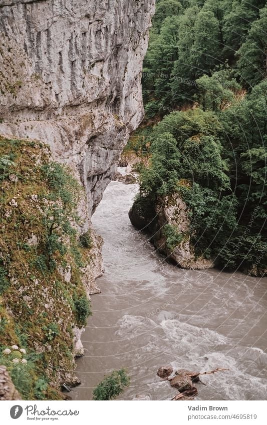 Fluss in den Bergen Natur Wasser Felsen Wald Berge u. Gebirge strömen Landschaft Baum grün Schlucht Wasserfall Stein Moos Steine Bäume reisen Park Wildnis Holz