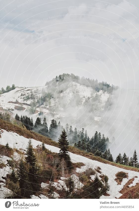 Winter in den Bergen Schnee Landschaft kalt Wald Baum Berge u. Gebirge Himmel Natur Bäume Frost weiß Eis Straße Saison Ski gefroren blau Weihnachten Tanne