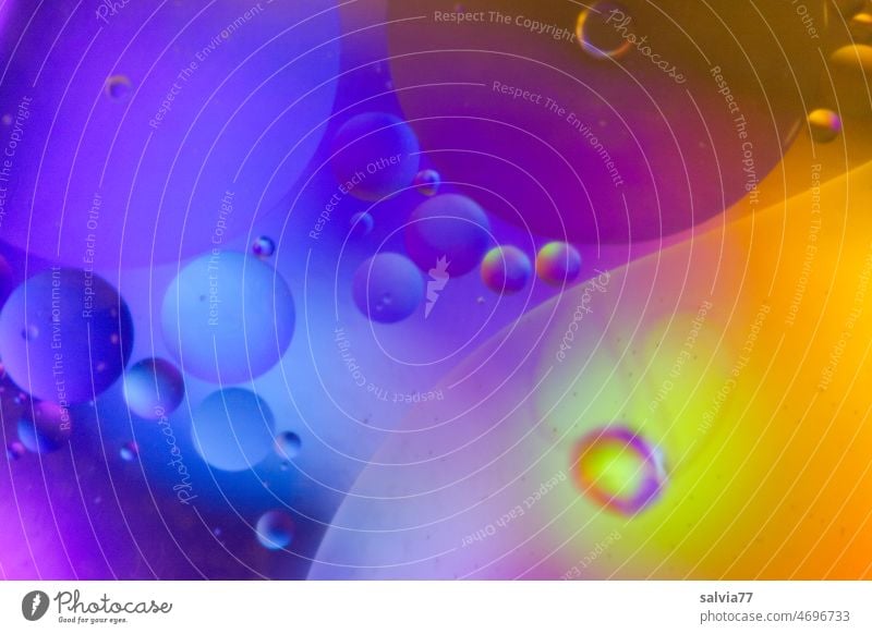 Farbcontest| abstrakte Kreise Tropfen bunt rund Kunst Hintergrund Makro Bokeh Dekoration & Verzierung Unschärfe Lichter Öltropfen Farbwechsel verschwommen