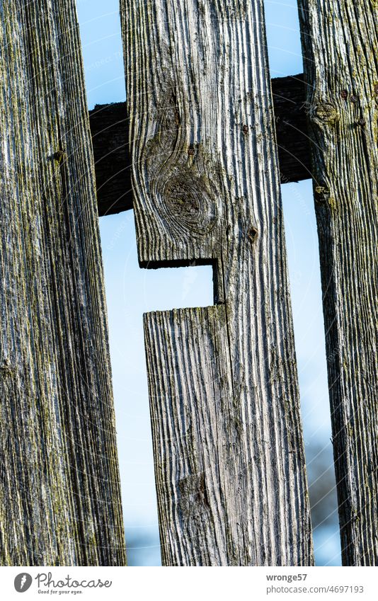 Gespräche am Gartenzaun Holzzaun Bretterzaun Nahaufnahme Detail Außenaufnahme Farbfoto Zaun Tag Menschenleer Schwache Tiefenschärfe Grenze verwittert Holzbrett