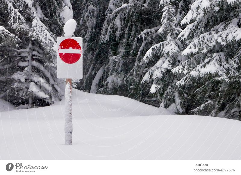 Frühlingsanfang - Einbahnstraßenschild in Winterlandschaft Schnee Bäume Straßenschild StVO verschneit eingeschneit Durchfahrtsverbot kalt Schneelandschaft