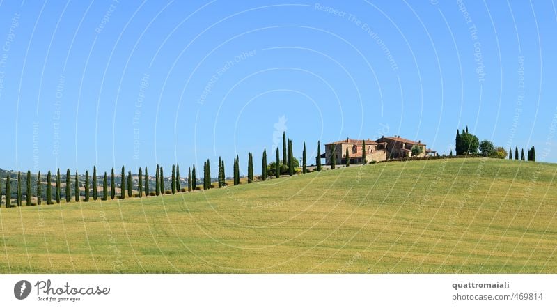 Der Klassiker in der Toskana Ferien & Urlaub & Reisen Sommer Sonne Traumhaus Landschaft Wolkenloser Himmel Schönes Wetter Zypresse Hügel Italien Europa Haus