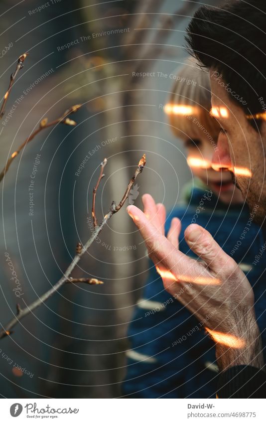 Vater zeigt Kind die Knospe eines Obstbaumes Natur erklären zeigen Frühling Sohn Erziehung Pflanze Entwicklung Wachstum