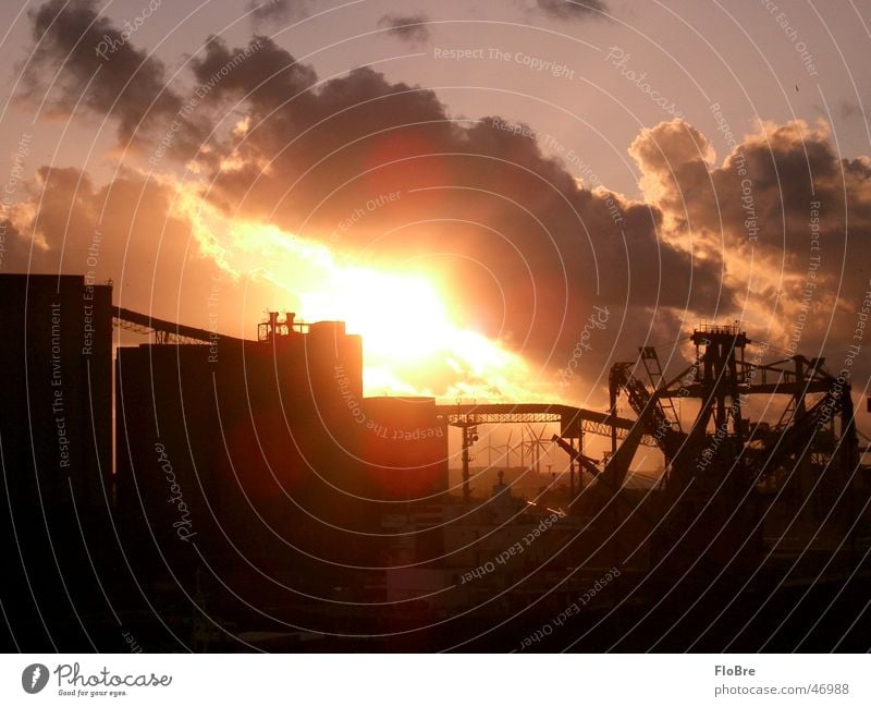 Sonnenuntergang im Hafen Fabrik Sonnenaufgang Wolken Hoffnung Außenaufnahme warm rot Abend Morgen rot horizont Freiheit Freude