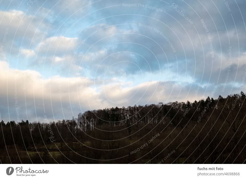 Abendliche Wolken über dem Wald Himmel Bäume Licht Abenddämmerung Landschaft Natur Dämmerung Silhouette Baum Umwelt Schönes Wetter Horizont Kontrast