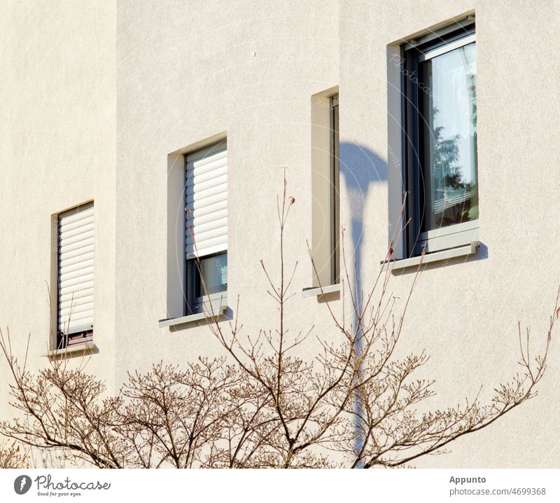 Helle Hauswand mit Fenstern und offenen, halb  und ganz geschlossenen Rolläden Rolladen Fassade Architektur Wand Stadt Außenaufnahme Gebäude weiß hell Strauch