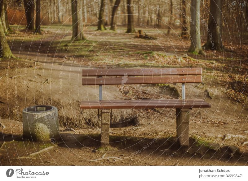 Parkbank mit Papierkorb im Wald Sitzbank analog retro Wege & Pfade Spaziergang draußen Natur Bäume Baum Erholung Herbst wandern ruhig Menschenleer Landschaft