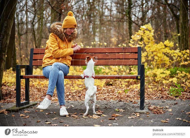 Frau mit Hund Spaziergang im herbstlichen Park Herbst Natur im Freien Haustier Blatt Saison Tier züchten Eckzahn heiter Begleiter tagsüber heimisch Freund