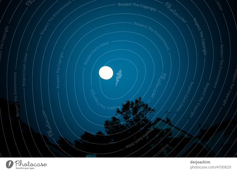 Der Mond ist aufgegangen. Bei wolkenlosen Himmel. Er steht zum greifen nahe, über den Bäumen. Mondaufgang Nacht Außenaufnahme Mondschein Abend Vollmond Farbfoto