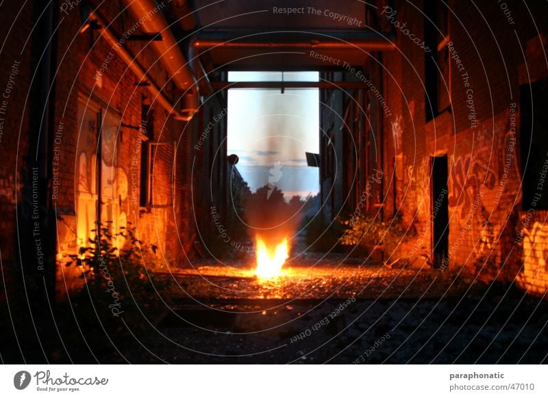 Fire between the walls... Brand Haus Fenster Backstein verwohnt Wand Mauer Beleuchtung erleuchten Verbote Buchstaben Stil Nacht Sträucher Pflanze Fabrik