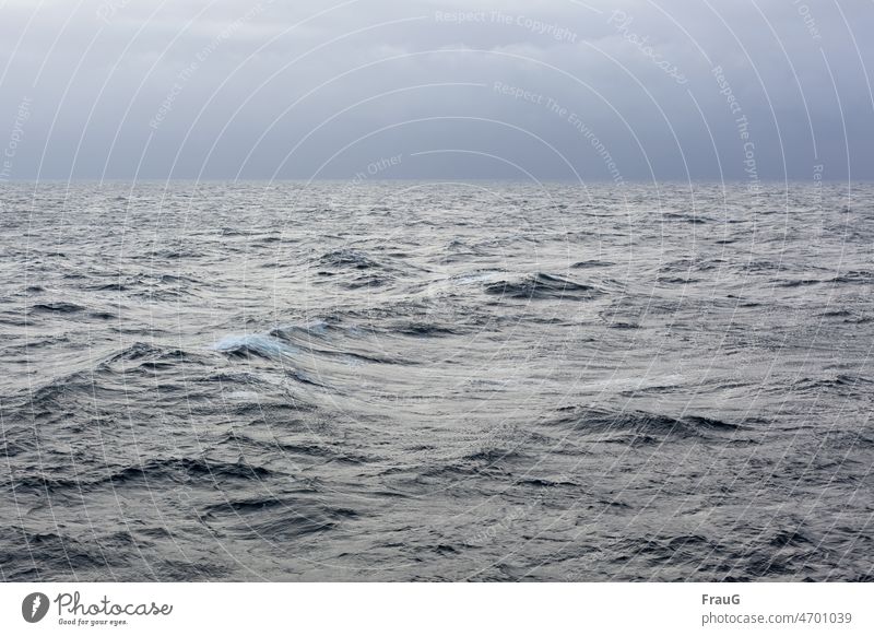 raue See | faltig Meer Ostsee Wasser aufgewühlt Raue See Wellen Gischt Brandung Horizont Himmel Wolken trübes Wetter Wind Natur stürmisch Sturm Urelemente