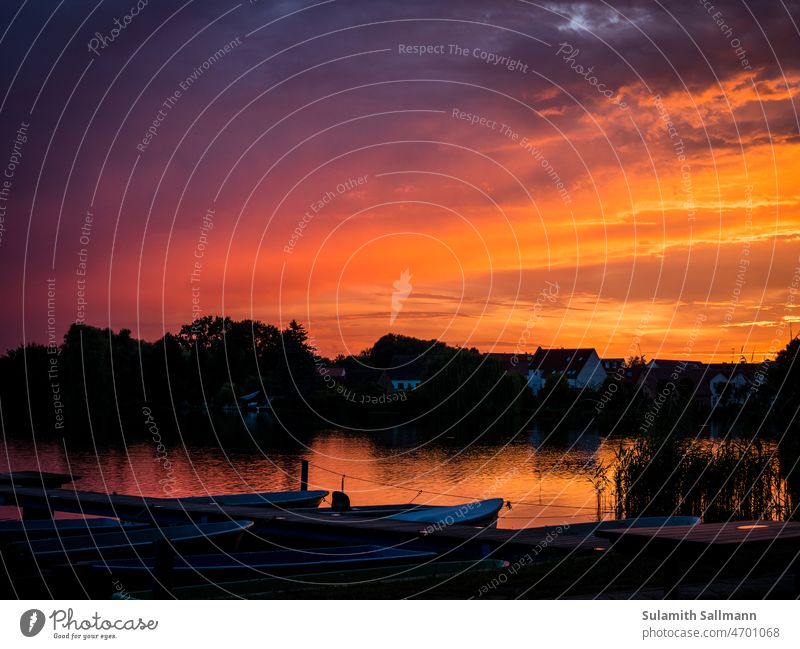 Sonnenuntergang am Müllroser See Idylle idyllisch Brandenburg Schlaubetal Ausflug Erholung Tagesende Abenddämmerung Abendruhe Abendstille ruhig erholsam