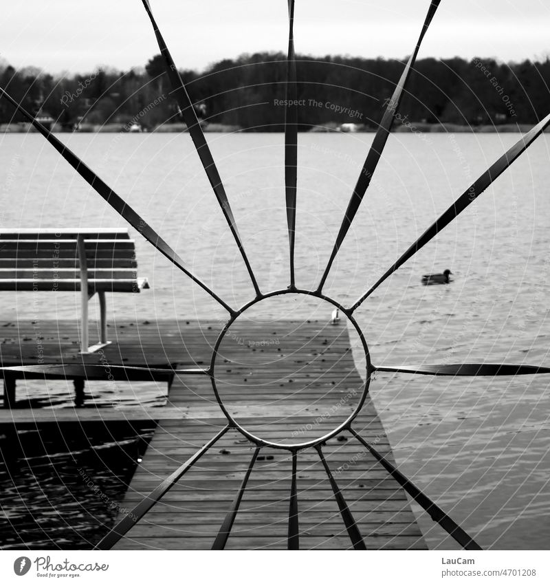 Platz an der Sonne Bank Steg Ente Wasser Schwarzweißfoto Idylle See Himmel ruhig Natur Seeufer Menschenleer Erholung Landschaft Umwelt Herbst