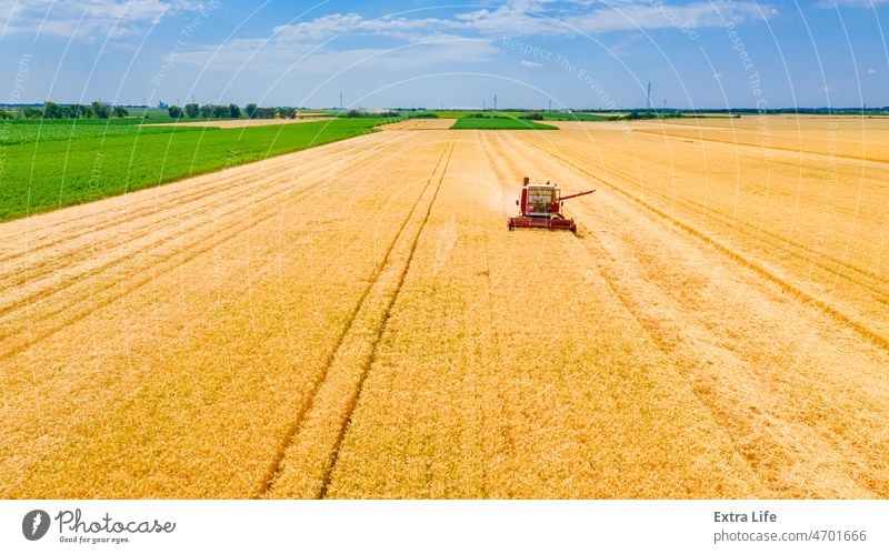 Blick von oben auf veralteten Mähdrescher, Erntemaschine, erntereifes Getreide landwirtschaftlich Ackerbau Müsli Land Landschaft geschnitten trocknen Bauernhof