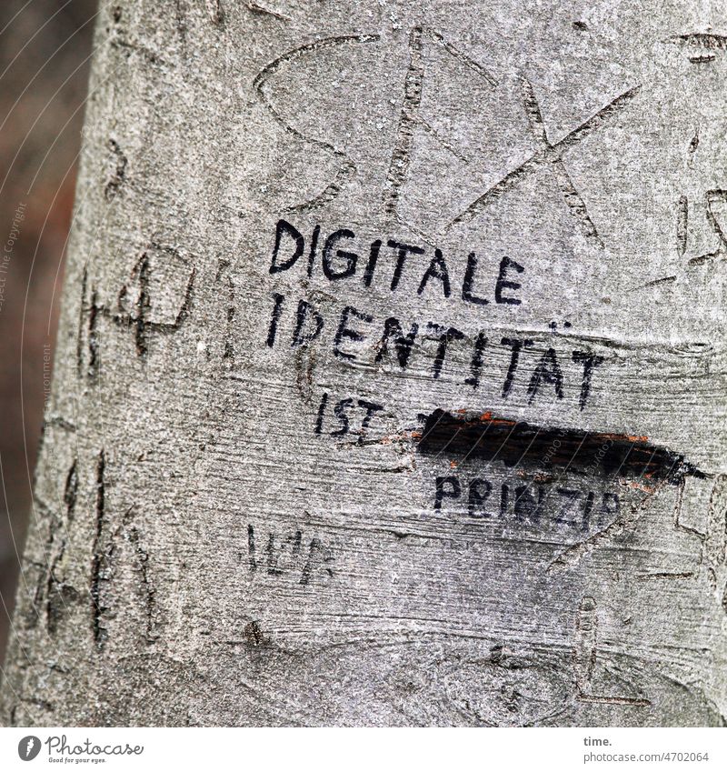 öffentliches Ärgernis | analog ist, wenn man's trotzdem macht baum spruch widerspruch grafitti text linien baumstamm durchgestrichen meinung weisheit