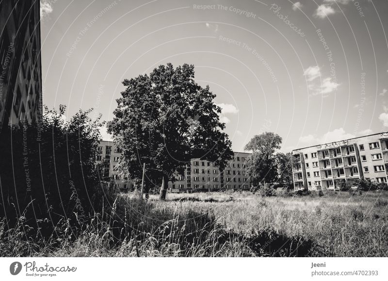 Verlassen und verfallen | Lost Land Love Wohnblock Erinnerung Haus Vergangenheit DDR Plattenbau retro Vergänglichkeit trist Zahn der Zeit alt Verfall verwittert