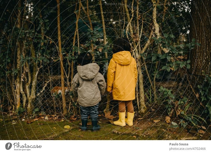 Rückansicht Kinder mit Kapuzenjacke Kindheit Geschwister 2 Menschen 1-3 Jahre 3-8 Jahre Gefühle Tag Spielen Zusammensein Farbfoto Außenaufnahme Kleinkind Herbst