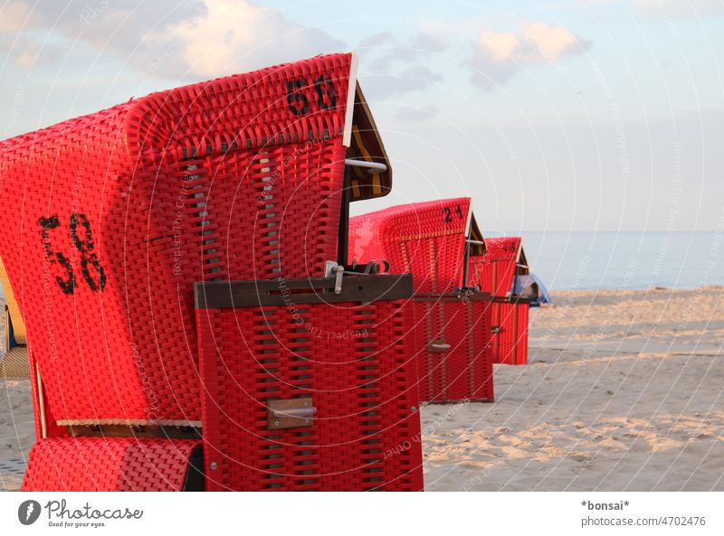 Strandkörbe Strandkorb rot Nummerierung Meer Küste Vermietung Ferien & Urlaub & Reisen Ostsee Wasser Sand Erholung Sommer Himmel Wolken Tourismus Sommerurlaub