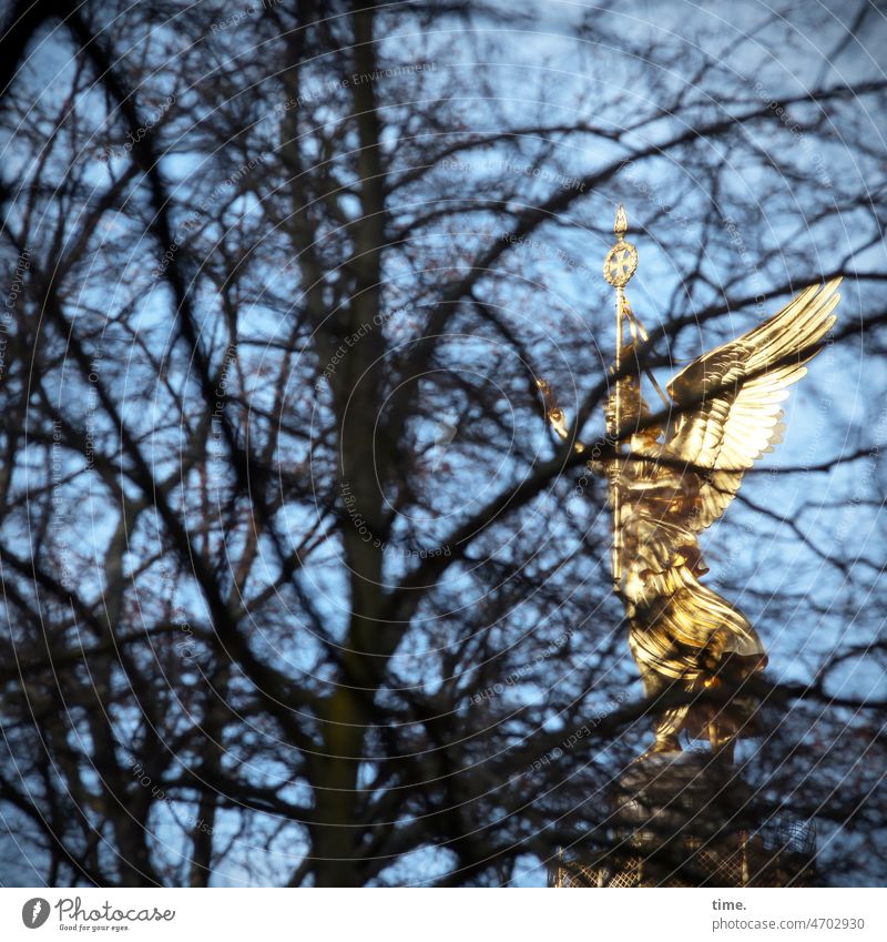 hidden victory skulptur goldelse siegessäule statue Wahrzeichen dickicht himmel historisch figur baum äste glänzen