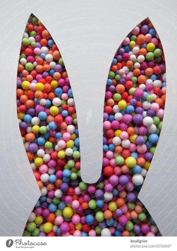 Bunte Hasenohren Ostern bunt Osterhase Hase & Kaninchen Silhouette lustig Tier Kügelchen osterdekoration ausgeschnitten gebastelt Ohr Farbfoto DIY