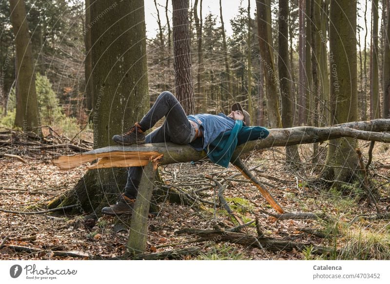 Im Wald, junger Mann ruht sich aus wandern Natur Junger Mann Person Umweltschaden Pflanze Baum Strurmschaden geborsten gespalten Wind Sturm Nadelwald Himmel