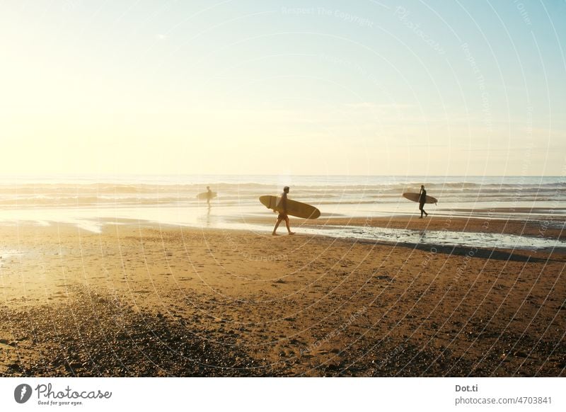 Surfer am Atlantik-Strand Wellenreiten Meer Küste drei Surfbrett gehen tragen Männer Sommer Urlaub Gegenlicht Ebbe Wassersport Surfers Paradise Lifestyle Surfen