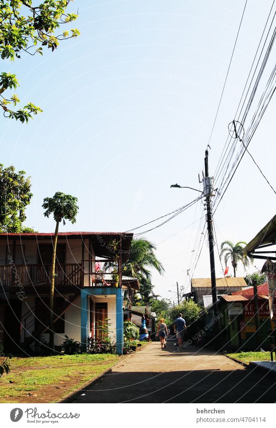 teekesselchen| lange leitung wohnen Gebäude Architektur Leben authentisch besonders Palme Urwald Haus exotisch Karibik fantastisch außergewöhnlich Fernweh Ferne