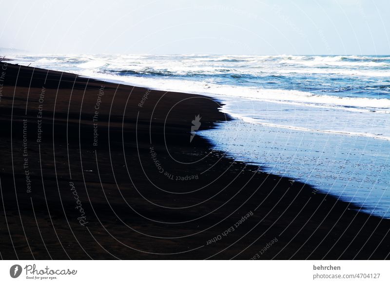 im rausch Sonnenlicht Kontrast Menschenleer Außenaufnahme Farbfoto Fernweh schwarz blau schön fantastisch exotisch außergewöhnlich Schwimmen & Baden Costa Rica