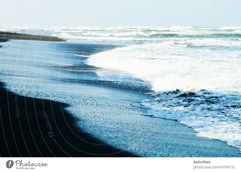 immer wieder | mehr meer Ferien & Urlaub & Reisen Abenteuer Ferne Freiheit Natur Landschaft Himmel Horizont Meer Strand Küste Wellen Sommer Karibisches Meer