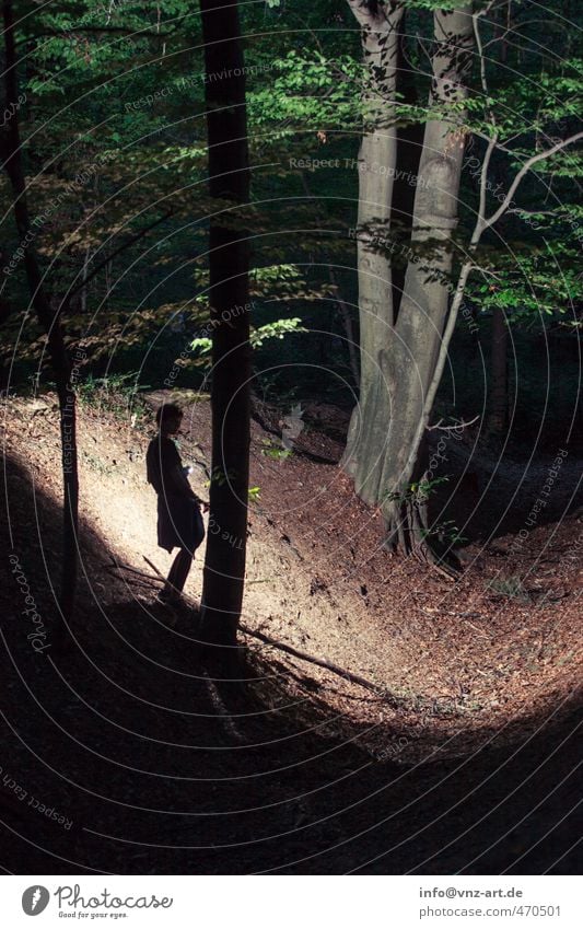 Schatten2 Mensch feminin Junge Frau Jugendliche Körper 1 18-30 Jahre Erwachsene Umwelt Natur Landschaft Herbst Baum Park Wald Hügel dunkel Farbfoto