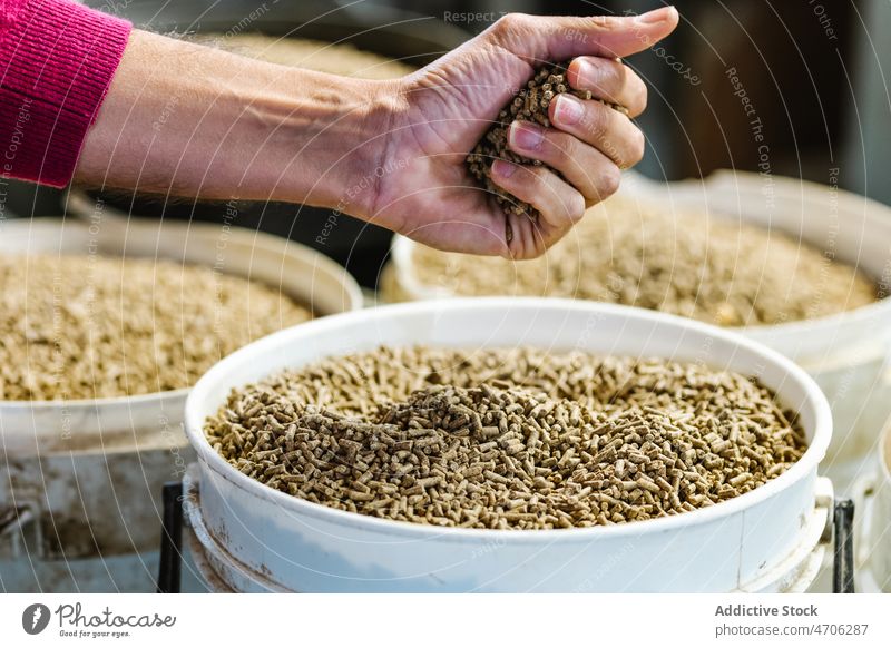 Unbekannter Landwirt nimmt pelletiertes Futter ein Arbeiter Pellet Granulat Bauernhof Eimer Industrie Scheune Ackerbau Vorrat Lebensmittel nehmen Handvoll