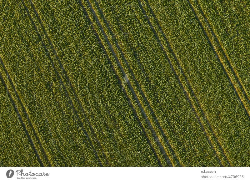 Ackerland von oben - Luftaufnahme eines saftig grünen Feldes - Ansicht von einer Drohne Antenne Bauernhof Gras Ernte Ackerbau Traktor Samen Land Linien Cloud