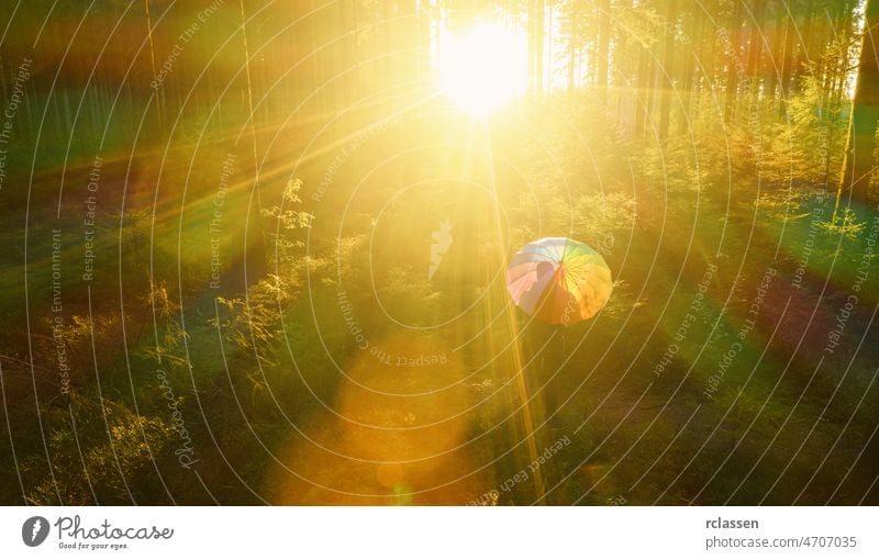 Luftaufnahme von Mann mit Regenbogen Regenschirm im Sonnenlicht Wald - Blick von einer Drohne Wiese ain Herbst Regenmantel Ansicht Farbe Gras Dröhnen mehrfarbig