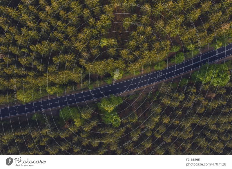 Luftaufnahme einer Straße inmitten des Waldes Antenne Dröhnen Ansicht Auge Landschaft Natur Abenteuer grün Asphalt Gras natürlich im Freien Pflanze ländlich