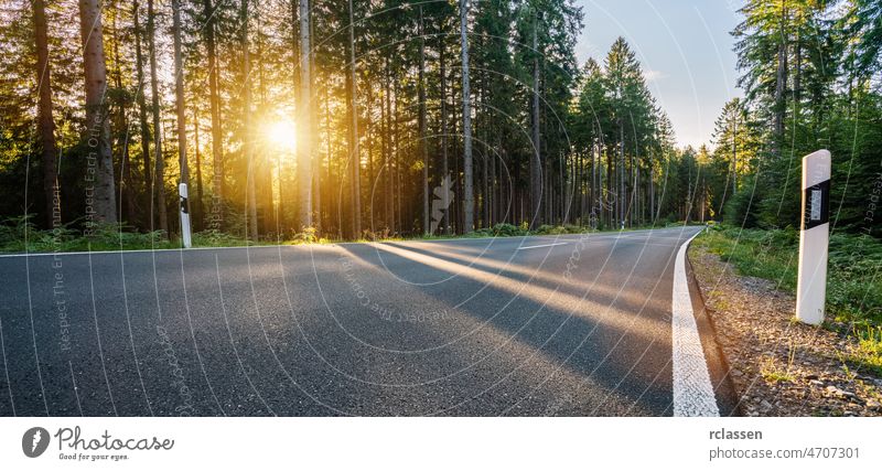 hughway in Silent Forest im Frühling mit schönen hellen Sonnenstrahlen Straße Berge u. Gebirge Autobahn leer Sonnenaufgang Sonnenuntergang Ausflug malerisch