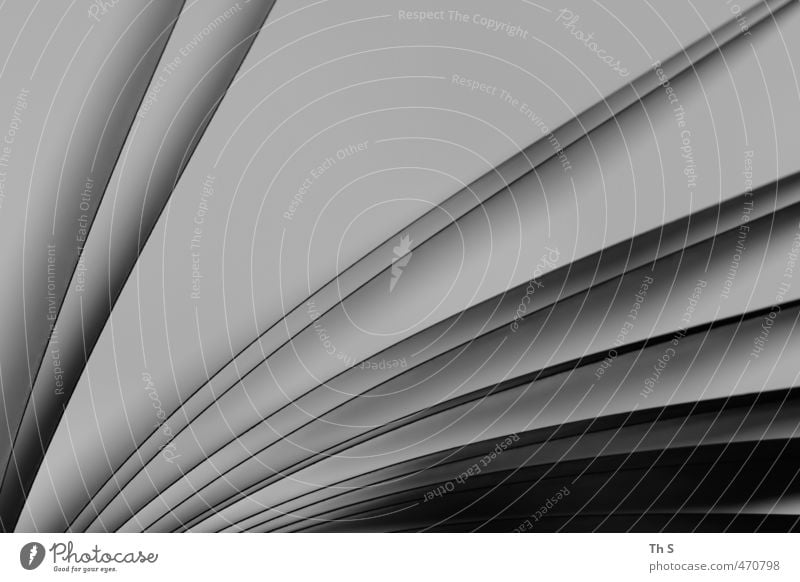 Buch Design lesen Schreibwaren Papier Zettel lernen ästhetisch elegant schön schwarz weiß Kultur Kunst abstrakt Schwarzweißfoto Innenaufnahme