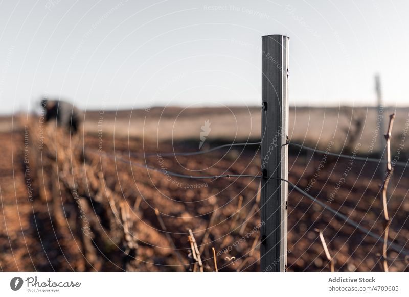 Pfosten mit Draht auf dem Lande Beitrag Ständer Zaun Feld Ackerbau Schonung Landschaft Agronomie Person ländlich Metall Umwelt wolkenlos Gelände Licht Material