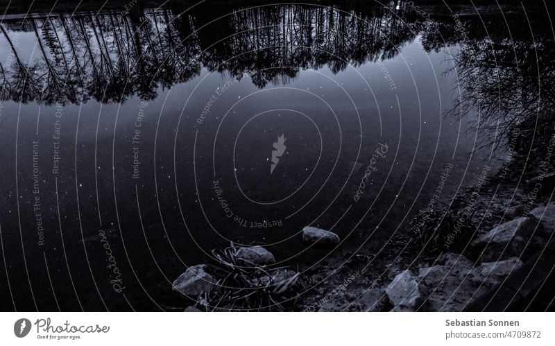 Spiegelung auf der Wasseroberfläche eines kleinen Sees, umgeben von Bäumen und Sternen am Nachthimmel Reflexion & Spiegelung Baum Silhouette Natur Himmel dunkel