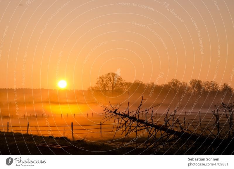 Nebliger Sonnenaufgang über einer Weide mit Pferden und idyllischem Zaun im Vordergrund. Landschaft Nebel Baum Natur Wiese Morgen Silhouette Sonnenuntergang