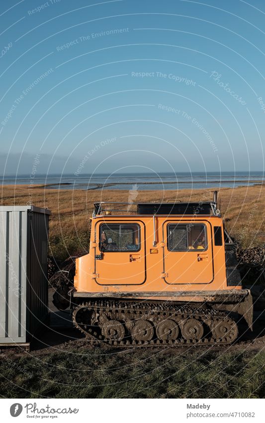 Geländegängiges Kettenfahrzeug mit Doppelkabine in leuchtendem Orange für den Küstenschutz im Herbst im Watt in Bensersiel bei Esen an der Küste der Nordsee in Ostfriesland in Niedersachsen