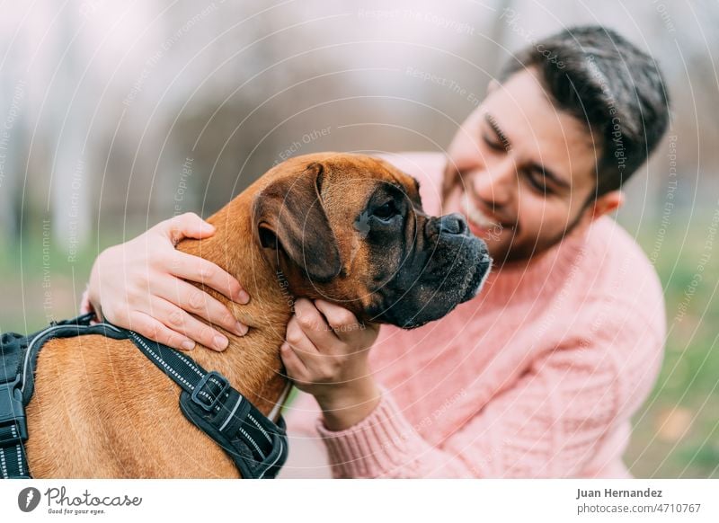 junger Mann mit seinem Boxerhund im Park. Fokus auf den Hund gutaussehend Öffentlich Haustier Eckzahn Freund Freundschaft Zusammengehörigkeitsgefühl Begleiter